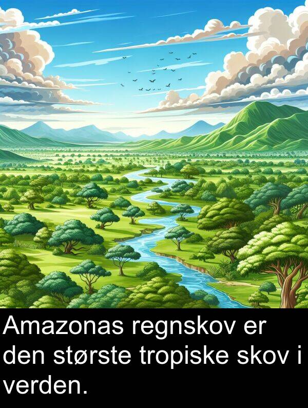 verden: Amazonas regnskov er den største tropiske skov i verden.