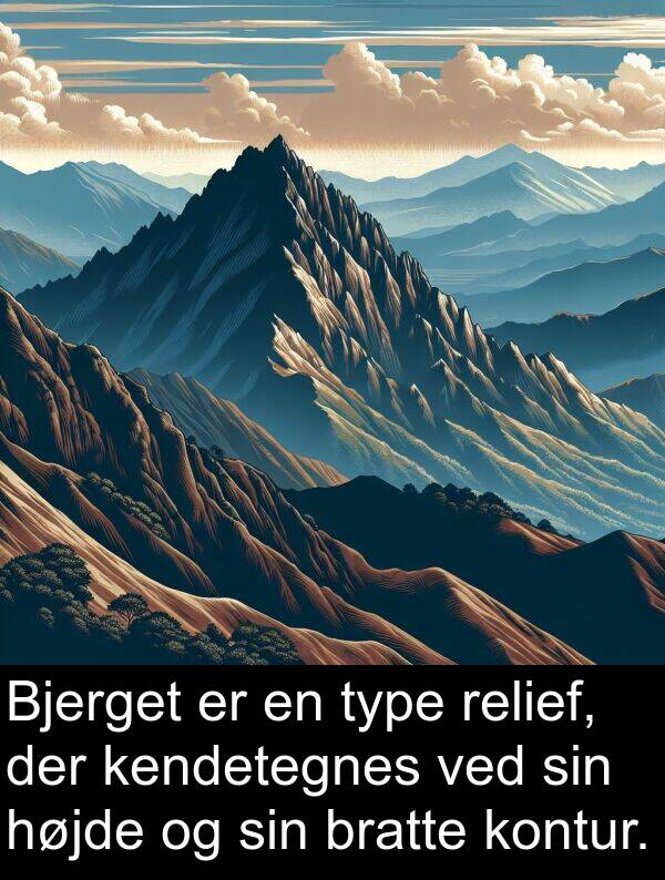 relief: Bjerget er en type relief, der kendetegnes ved sin højde og sin bratte kontur.