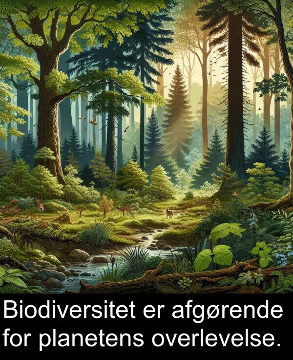 planetens: Biodiversitet er afgørende for planetens overlevelse.