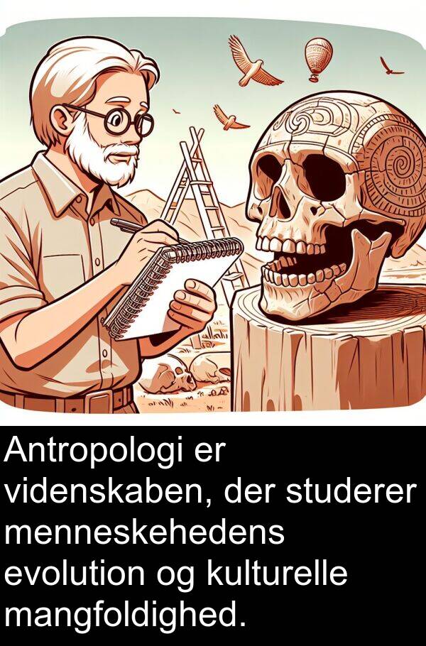 mangfoldighed: Antropologi er videnskaben, der studerer menneskehedens evolution og kulturelle mangfoldighed.