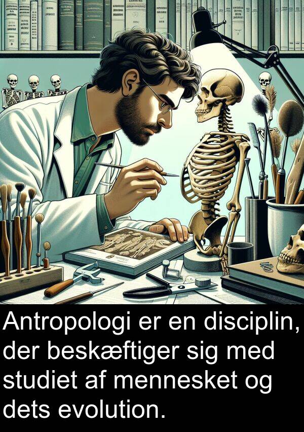 dets: Antropologi er en disciplin, der beskæftiger sig med studiet af mennesket og dets evolution.