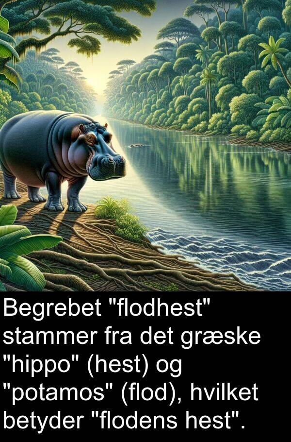 hvilket: Begrebet "flodhest" stammer fra det græske "hippo" (hest) og "potamos" (flod), hvilket betyder "flodens hest".