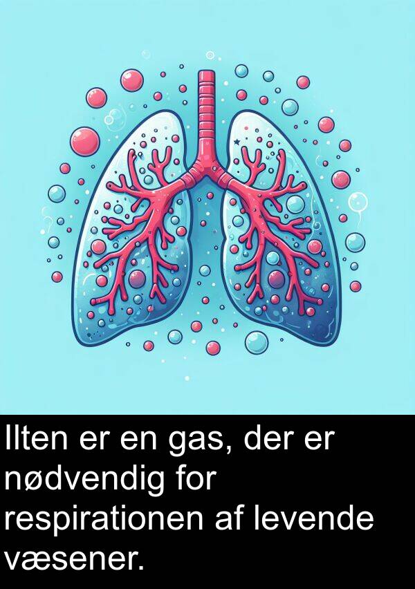 gas: Ilten er en gas, der er nødvendig for respirationen af levende væsener.