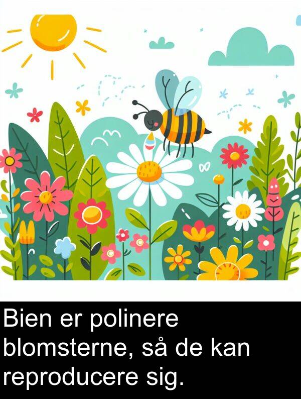 reproducere: Bien er polinere blomsterne, så de kan reproducere sig.