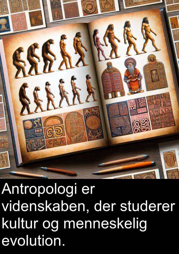 videnskaben: Antropologi er videnskaben, der studerer kultur og menneskelig evolution.