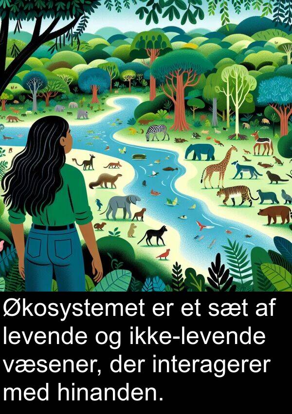 hinanden: Økosystemet er et sæt af levende og ikke-levende væsener, der interagerer med hinanden.