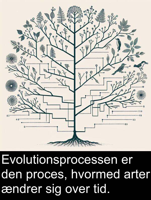 proces: Evolutionsprocessen er den proces, hvormed arter ændrer sig over tid.