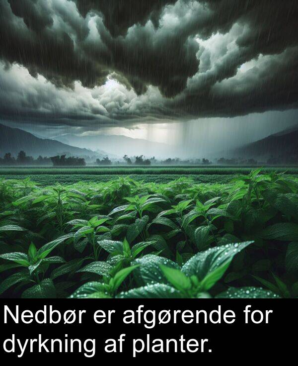 for: Nedbør er afgørende for dyrkning af planter.