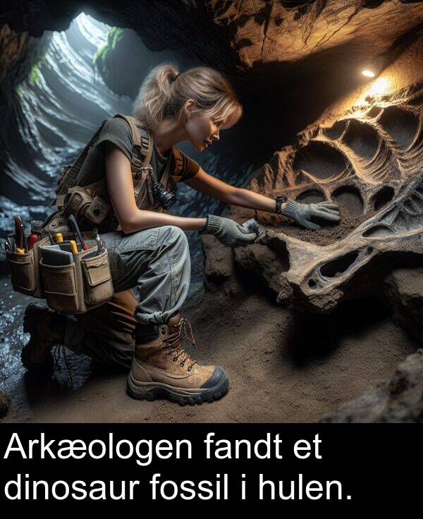 fandt: Arkæologen fandt et dinosaur fossil i hulen.