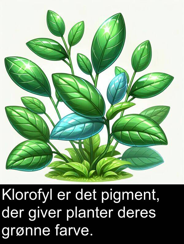 farve: Klorofyl er det pigment, der giver planter deres grønne farve.