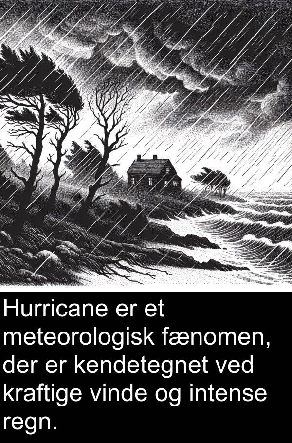 kendetegnet: Hurricane er et meteorologisk fænomen, der er kendetegnet ved kraftige vinde og intense regn.