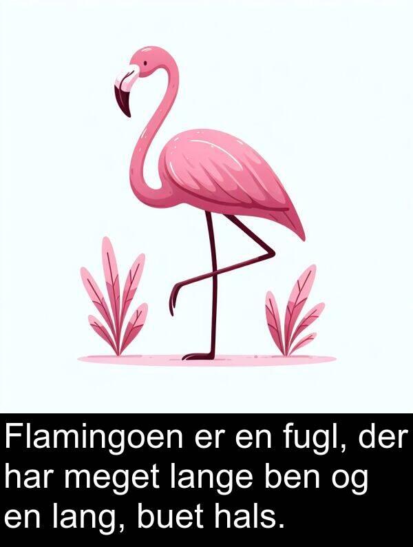 lang: Flamingoen er en fugl, der har meget lange ben og en lang, buet hals.