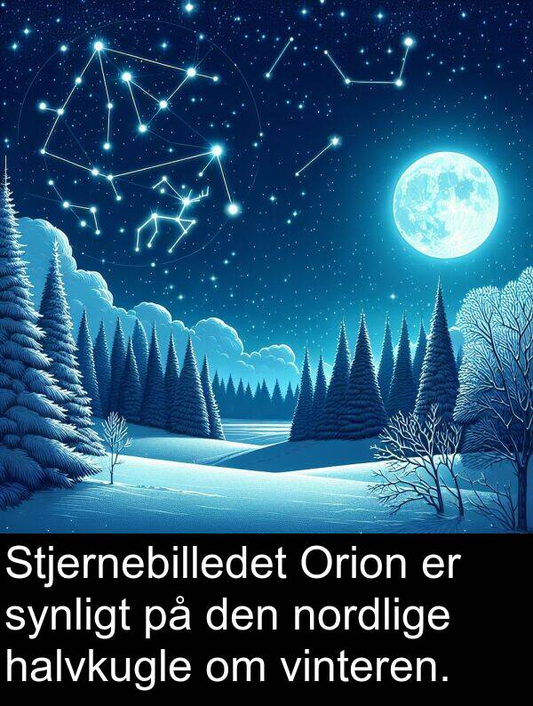 nordlige: Stjernebilledet Orion er synligt på den nordlige halvkugle om vinteren.