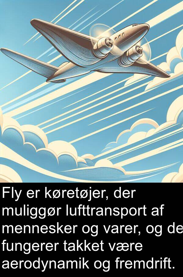 aerodynamik: Fly er køretøjer, der muliggør lufttransport af mennesker og varer, og de fungerer takket være aerodynamik og fremdrift.