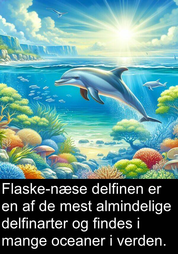 findes: Flaske-næse delfinen er en af de mest almindelige delfinarter og findes i mange oceaner i verden.