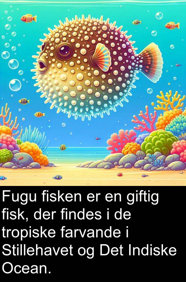 findes: Fugu fisken er en giftig fisk, der findes i de tropiske farvande i Stillehavet og Det Indiske Ocean.