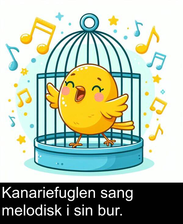 sin: Kanariefuglen sang melodisk i sin bur.