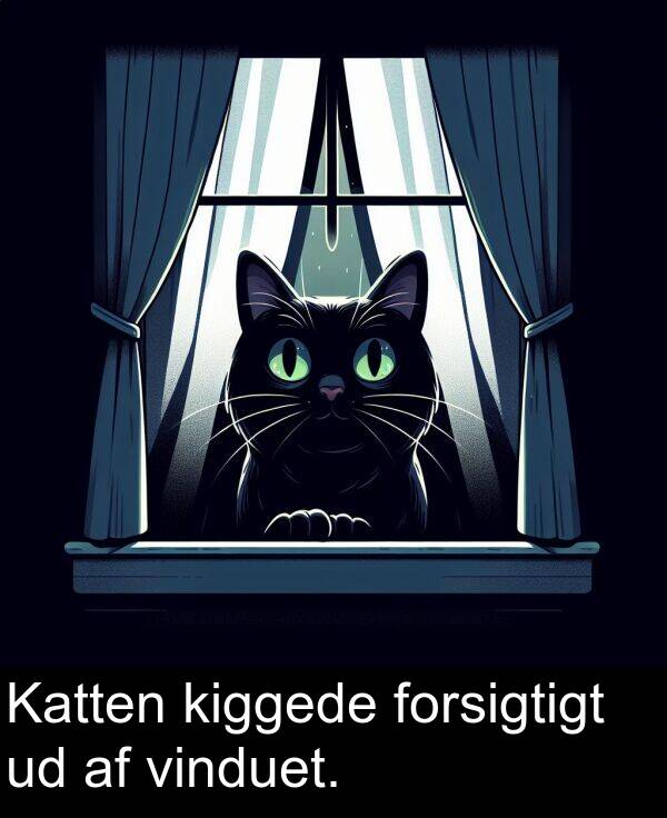 kiggede: Katten kiggede forsigtigt ud af vinduet.