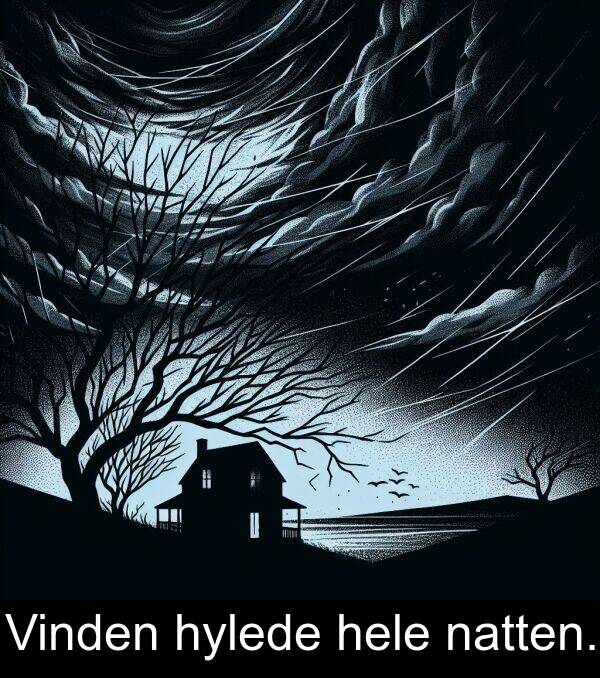 hele: Vinden hylede hele natten.