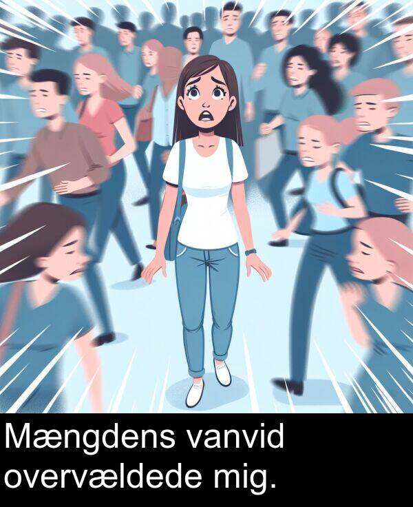 vanvid: Mængdens vanvid overvældede mig.