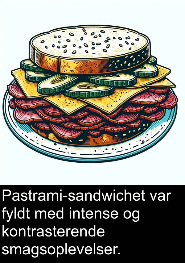 fyldt: Pastrami-sandwichet var fyldt med intense og kontrasterende smagsoplevelser.