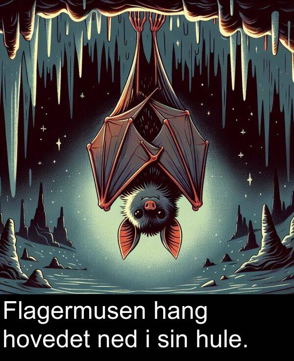 ned: Flagermusen hang hovedet ned i sin hule.