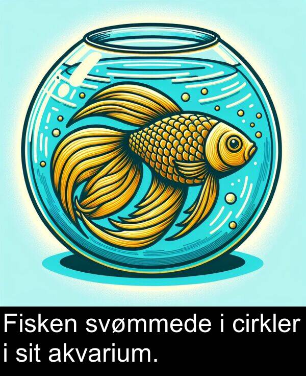 cirkler: Fisken svømmede i cirkler i sit akvarium.