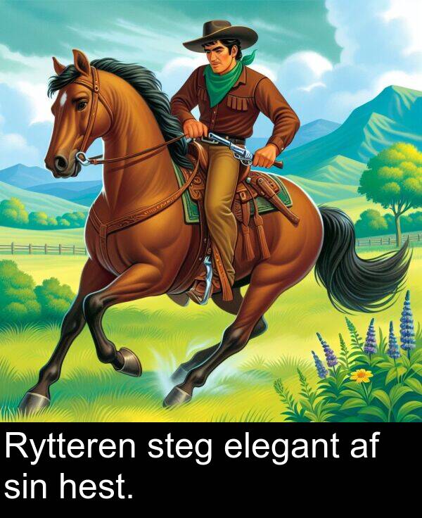 sin: Rytteren steg elegant af sin hest.