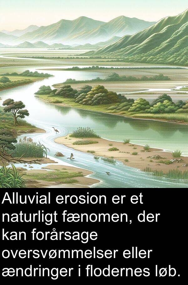 naturligt: Alluvial erosion er et naturligt fænomen, der kan forårsage oversvømmelser eller ændringer i flodernes løb.