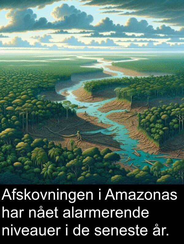 niveauer: Afskovningen i Amazonas har nået alarmerende niveauer i de seneste år.