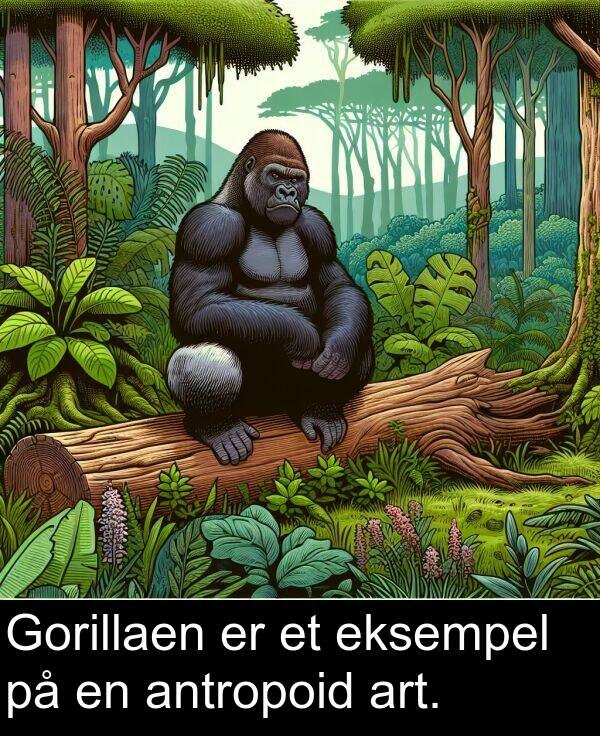 art: Gorillaen er et eksempel på en antropoid art.