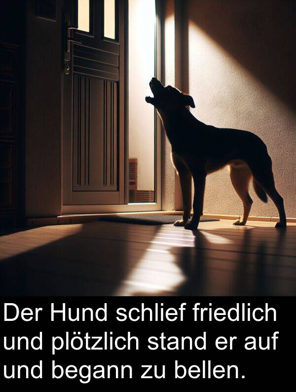 stand: Der Hund schlief friedlich und plötzlich stand er auf und begann zu bellen.