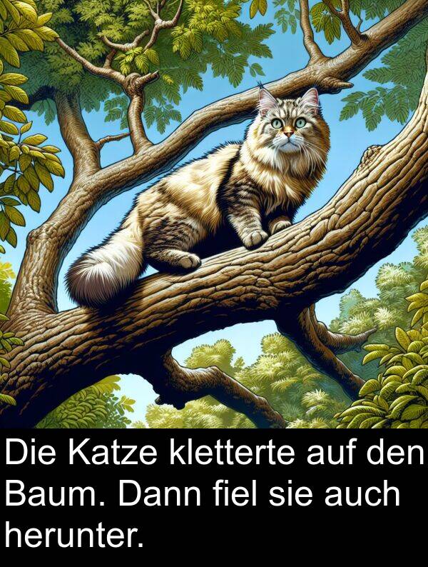 fiel: Die Katze kletterte auf den Baum. Dann fiel sie auch herunter.