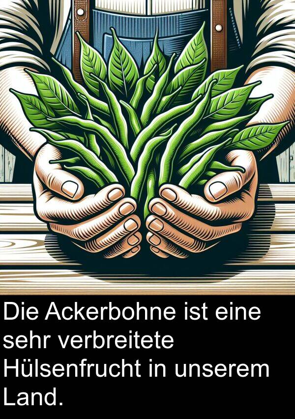 verbreitete: Die Ackerbohne ist eine sehr verbreitete Hülsenfrucht in unserem Land.