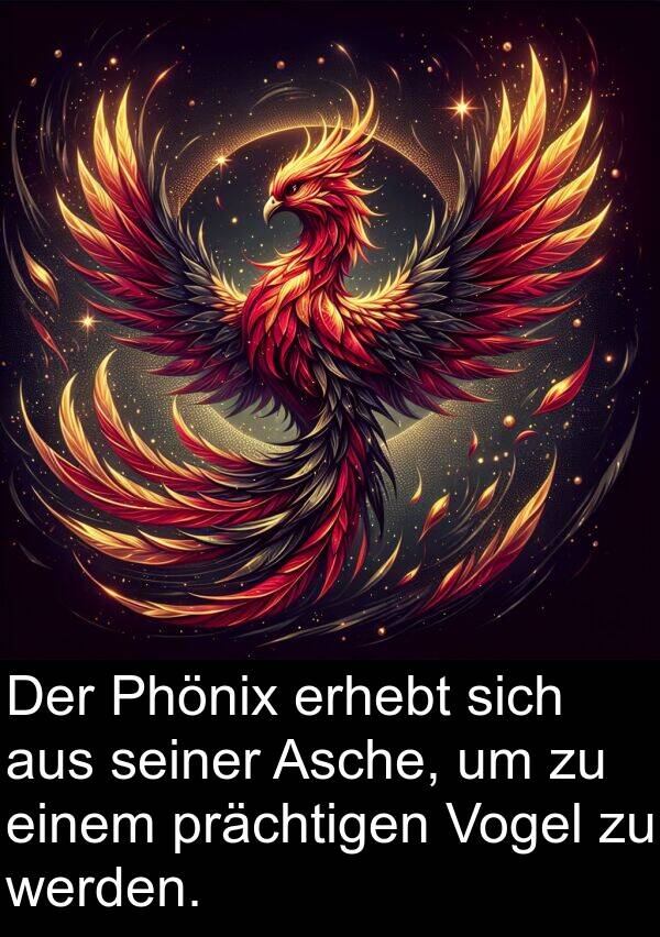 Asche: Der Phönix erhebt sich aus seiner Asche, um zu einem prächtigen Vogel zu werden.