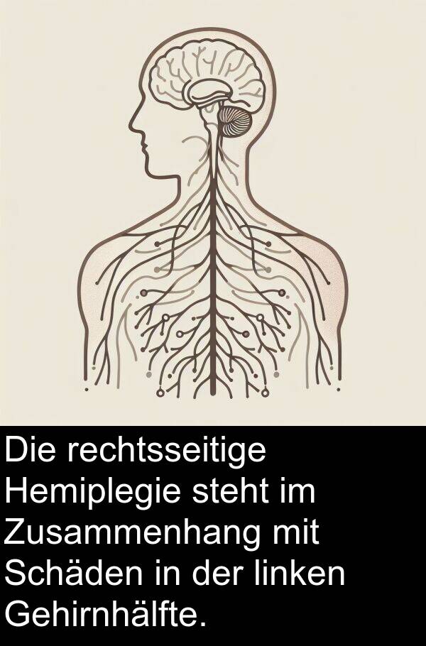 Schäden: Die rechtsseitige Hemiplegie steht im Zusammenhang mit Schäden in der linken Gehirnhälfte.