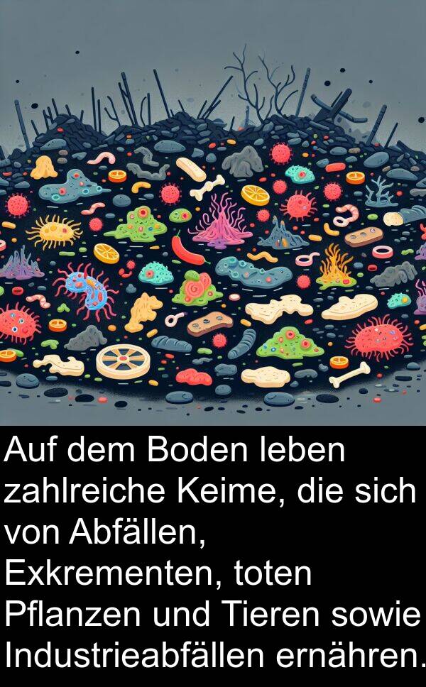 Keime: Auf dem Boden leben zahlreiche Keime, die sich von Abfällen, Exkrementen, toten Pflanzen und Tieren sowie Industrieabfällen ernähren.