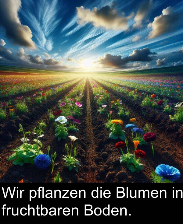 pflanzen: Wir pflanzen die Blumen in fruchtbaren Boden.