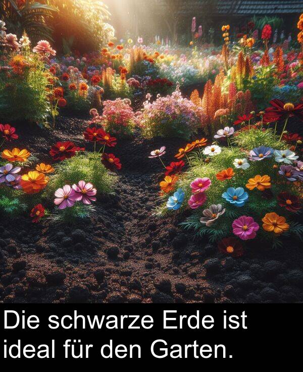 für: Die schwarze Erde ist ideal für den Garten.