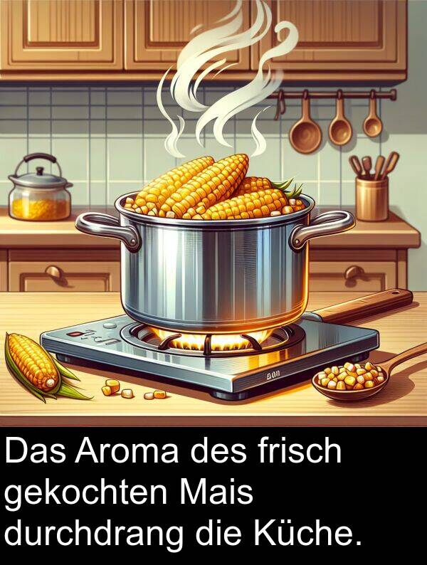 Küche: Das Aroma des frisch gekochten Mais durchdrang die Küche.