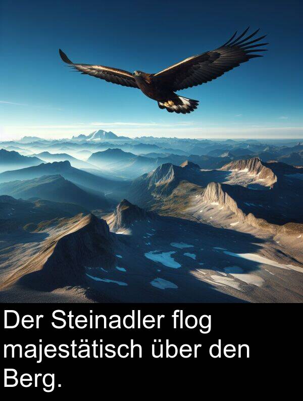 flog: Der Steinadler flog majestätisch über den Berg.