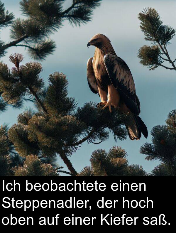 einer: Ich beobachtete einen Steppenadler, der hoch oben auf einer Kiefer saß.