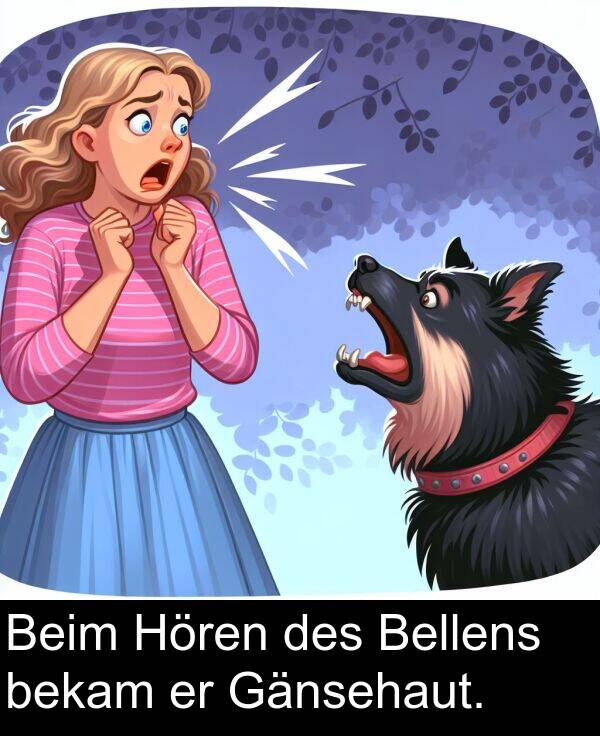 Hören: Beim Hören des Bellens bekam er Gänsehaut.