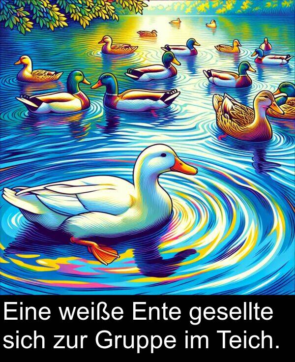 sich: Eine weiße Ente gesellte sich zur Gruppe im Teich.