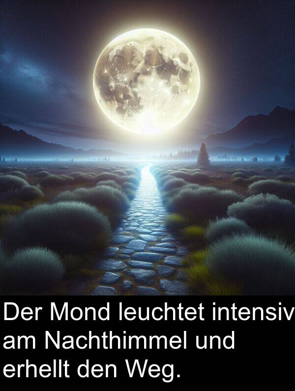 intensiv: Der Mond leuchtet intensiv am Nachthimmel und erhellt den Weg.