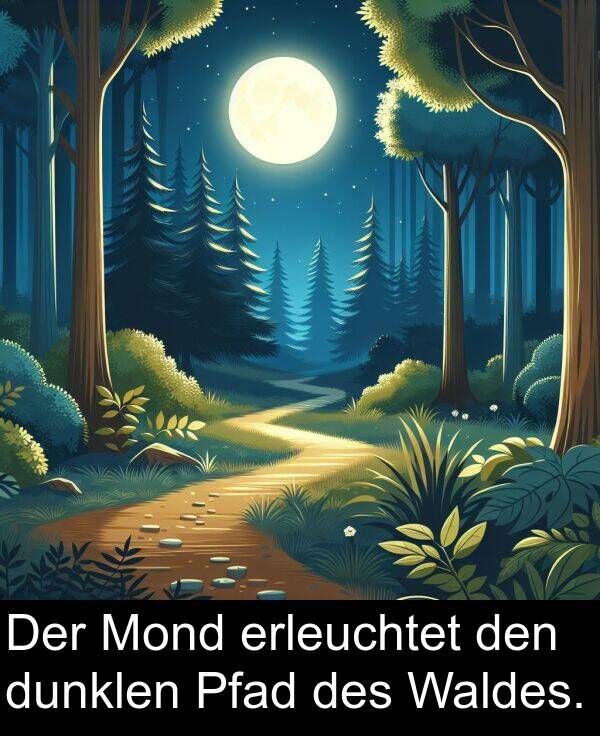 Pfad: Der Mond erleuchtet den dunklen Pfad des Waldes.