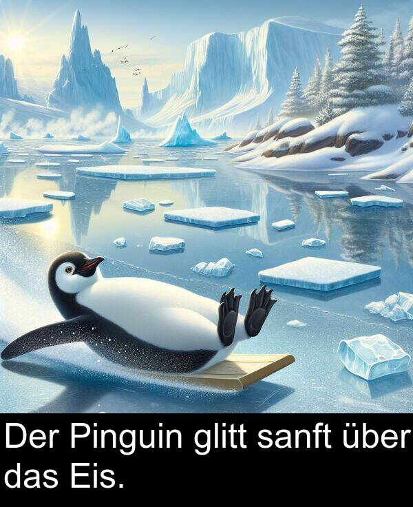 Der: Der Pinguin glitt sanft über das Eis.