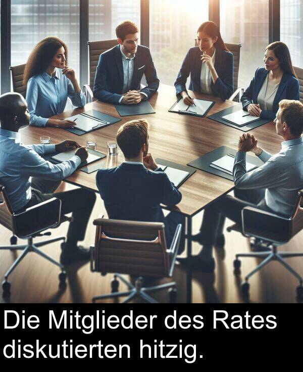 Rates: Die Mitglieder des Rates diskutierten hitzig.