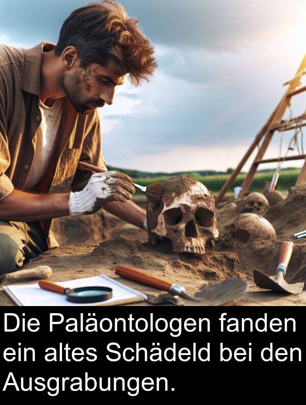 Paläontologen: Die Paläontologen fanden ein altes Schädeld bei den Ausgrabungen.