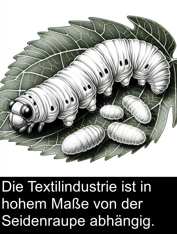 Maße: Die Textilindustrie ist in hohem Maße von der Seidenraupe abhängig.